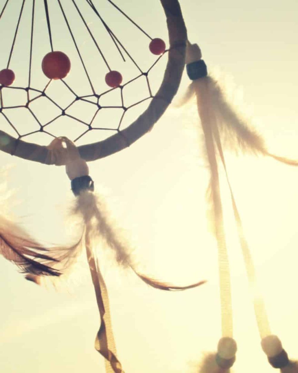 Le chaman ou praticien chamanique est connecté à toutes ces sources invisibles ou esprits
